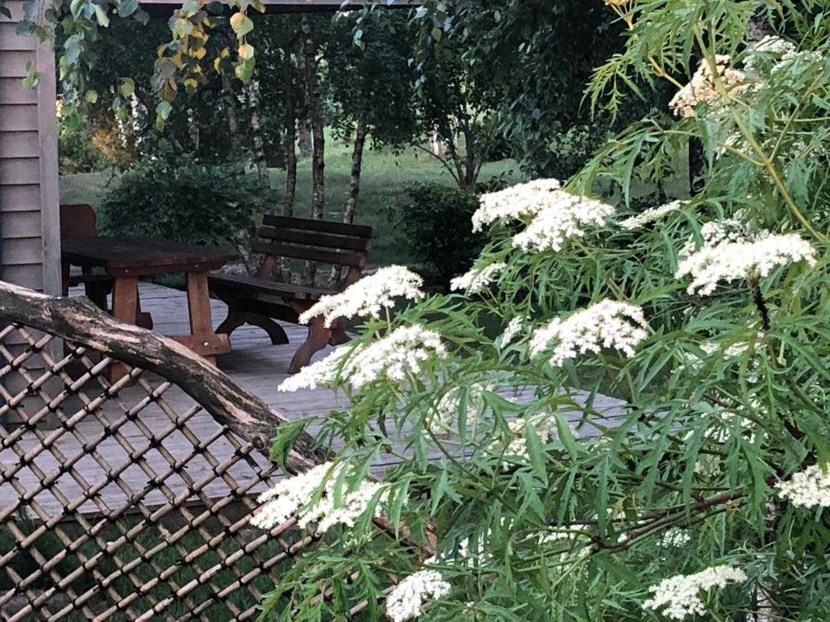 Japoniskas Sodas Medomiskiai Exteriér fotografie